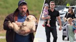 Ben Affleck – Check Out This Adorable Puppy!